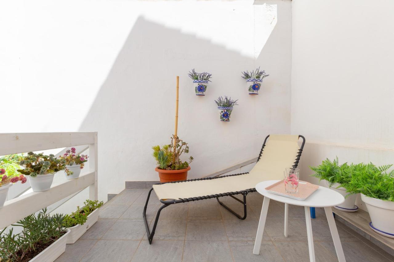 Casa Salamandra Appartement